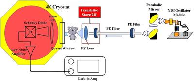 In vivo Estimation of Breast Cancer Tissue Volume in Subcutaneous Xenotransplantation Mouse Models by Using a High-Sensitivity Fiber-Based Terahertz Scanning Imaging System